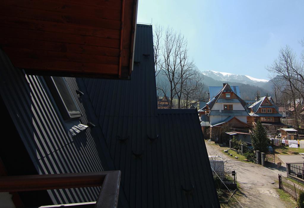 Willa Pod Halami Appartamento Zakopane Esterno foto