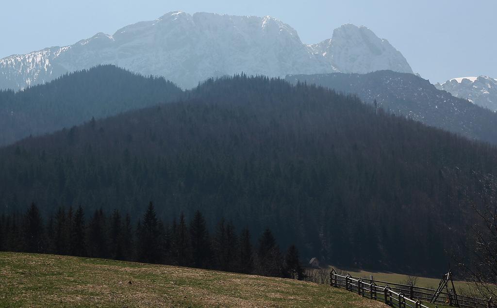 Willa Pod Halami Appartamento Zakopane Esterno foto